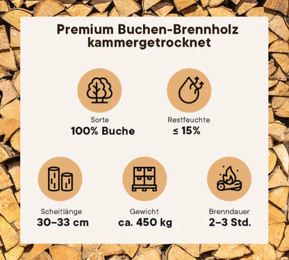 Brennholz Buche kammergetrocknet 30–33 cm (1RM)